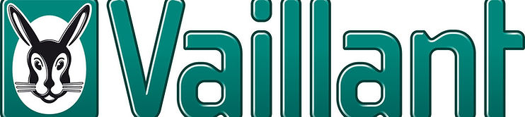 Marchio Vaillant ATMOMAG MINI camera aperta